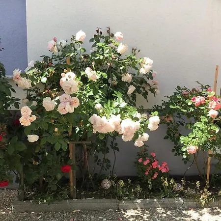 Apartmán Beim Holzwurm Andy